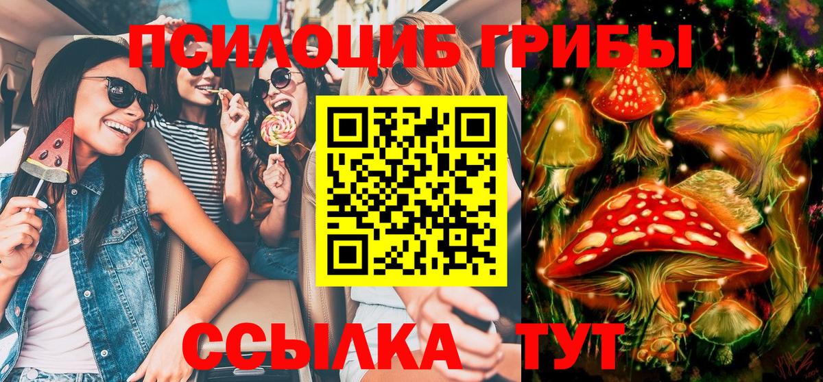 Камень-на-Оби  Псилоцибиновые грибы прущие грибы  Вход с VPN  Псилоцибиновые грибы GOLDEN TEACHER 